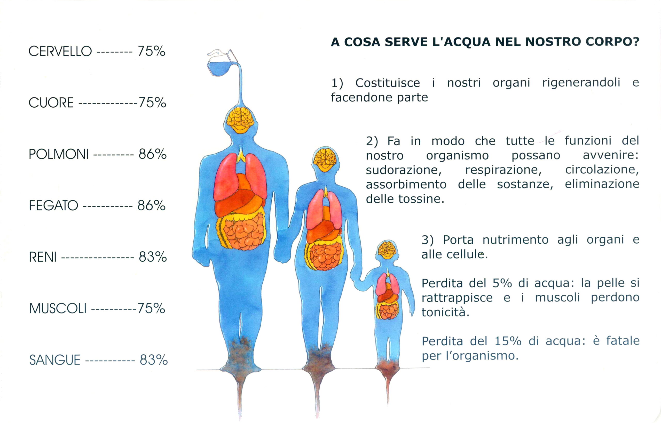 CALDO: ATTENZIONE AD IDRATAZIONE, ALIMENTAZIONE E PROTEZIONE SOLARE